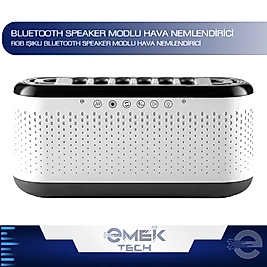 Dekoratif Hava Nemlendirici